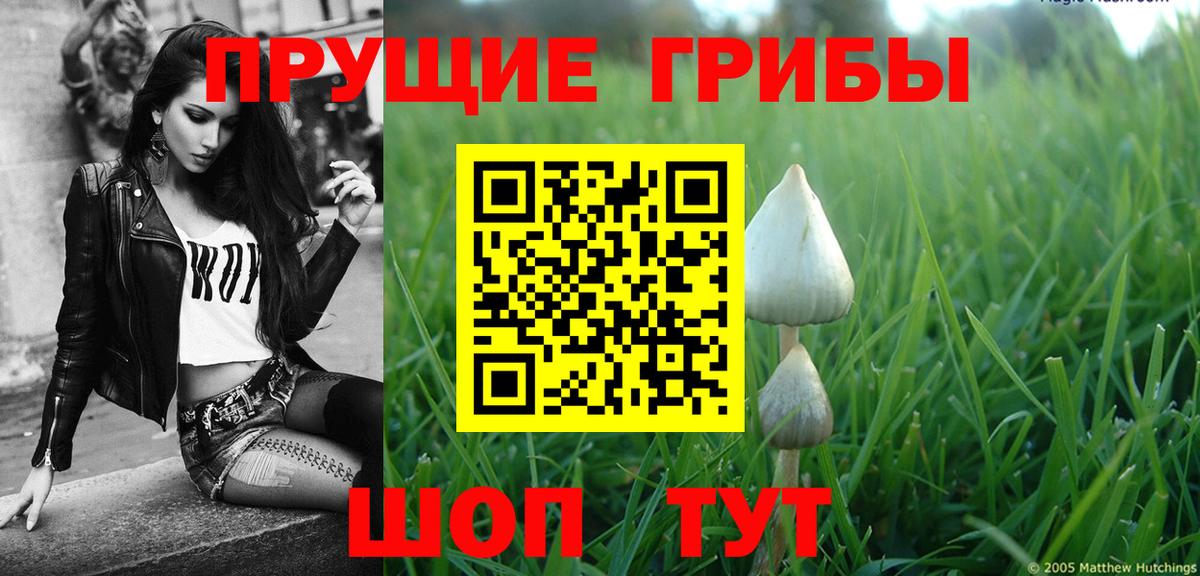 Галлюциногенные грибы GOLDEN TEACHER  Псилоцибиновые грибы Cubensis  Электросталь  Вход с VPN 
